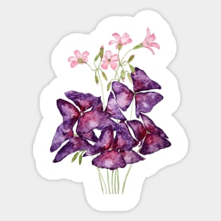 purple oxalis leaf watercolor Sticker